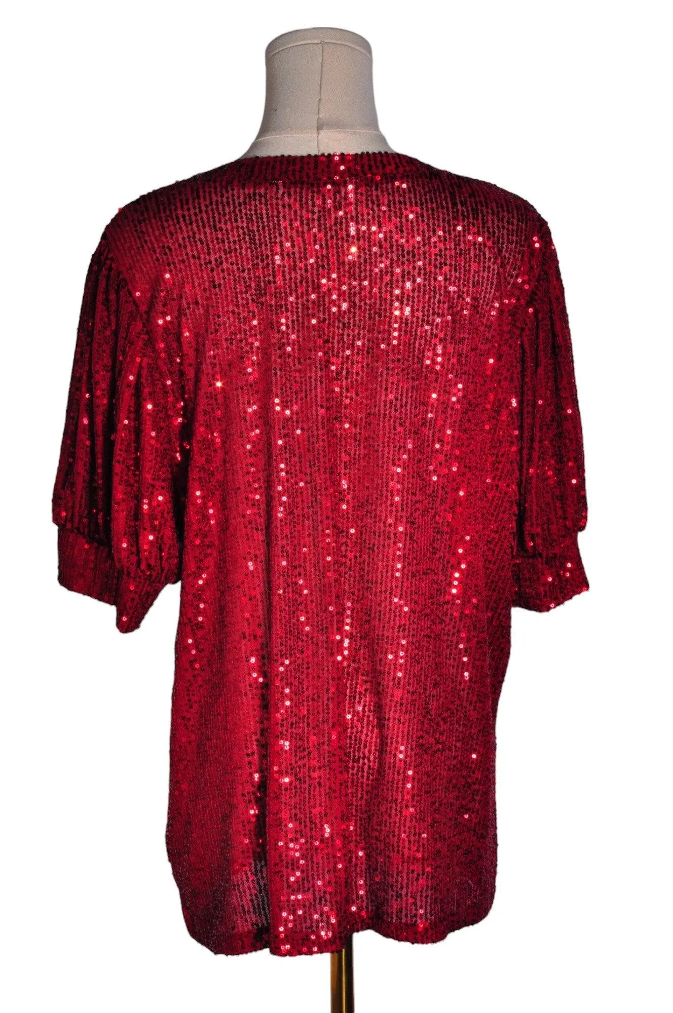 AMARYLLIS Women Blouses Regular fit in Red - XL