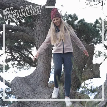 Divide Hoodie Womens