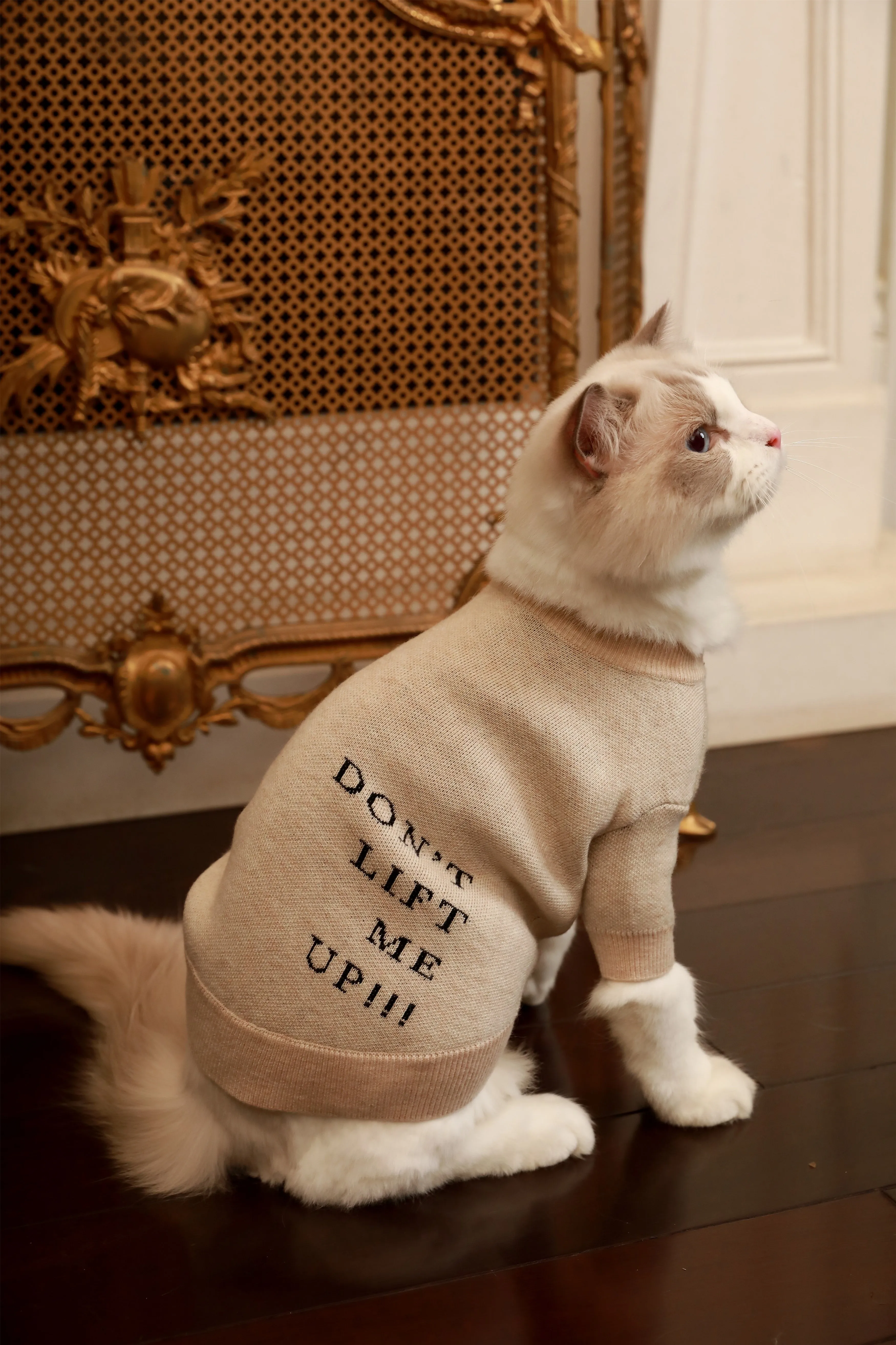 ‘DLMU’ Jumper